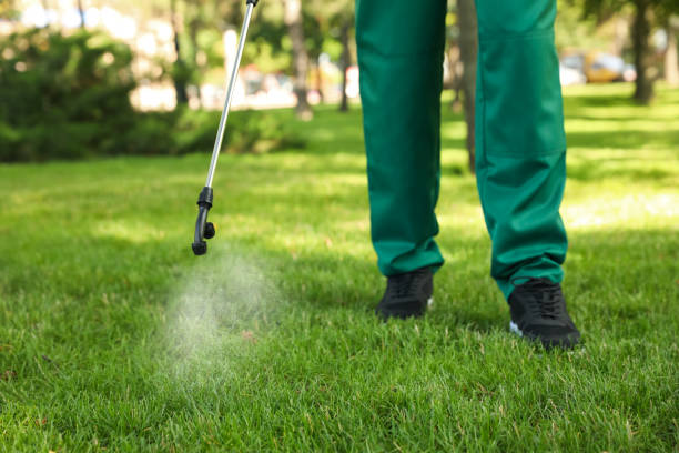Best Flea Control Services  in Lionville, PA